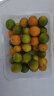 京鲜生 广西脆皮金桔/金橘 桔子500g装 新鲜水果 实拍图