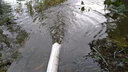 臣源不锈钢潜水泵220V家用井水抽水泵农用清水污水泵小型高扬程排污泵 1500W/两寸污水泵(带浮球) 实拍图