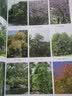 300种园林植物栽培与应用 实拍图