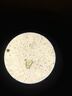 江南初中生中考专用显微镜实验专业生物光学可看细菌儿童生物高清16A 1280倍+移动尺款 实拍图