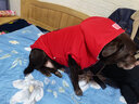 CHUKCHI楚克奇中大型犬衣服大狗衣服大狗冬装狗狗棉衣金毛拉布拉多 红色 36号颈围68CM*胸围96CM*背长75CM 实拍图
