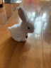 乐吉儿 儿童电动毛绒玩具小白兔 会跳会叫仿真毛绒兔兔中秋节生日礼物 实拍图