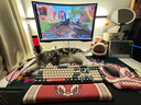 阿米洛（Varmilo） 试轴器 个性键帽 小挂饰 小礼品 虎年限定空格键帽一个 实拍图