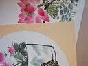 六品堂宣纸卡纸文房四宝加厚镜片纸画纸工笔国画专用圆形扇面书法空白熟宣生宣水彩画软卡方形装裱作品纸 实拍图