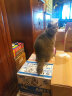 渔极（AkikA）泰国进口 AR系列 宠物猫零食成猫幼猫罐头 白肉罐头70g AR12吞拿鱼+三文鱼1箱 72罐 晒单实拍图