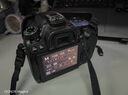 佳能/CANON  80D 60D 70D 77D 50D 90D 半画幅 二手单反相机 佳能60D单机 95新 实拍图