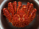 首鲜道智利帝王蟹礼盒鲜活熟冻大螃蟹腿蟹脚蟹类生鲜年货海鲜礼盒 帝王蟹4.0-3.6斤（龙年仓内发） 实拍图