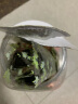 波力海苔片海味休闲零食儿童网红小吃紫菜渔趣夹心海苔脆片120g约60包 实拍图