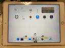 Apple二手苹果平板ipad ipad10 ipad9 2021款 2020/2019/2018 ipad9 64G wifi 送快充 99新 实拍图