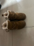 百丽厚底舒适雪地靴女商场同款羊毛加绒短靴A4F1DDD3 黄色 37 实拍图