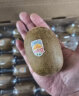 佳沛（zespri）新西兰进口奇异果金果黄心猕猴桃特大果礼盒巨大果彩箱礼盒 12枚礼盒 中果 单果103- 114g 实拍图