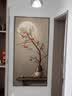 墨派（Mopai）【热销TOP1】玄关装饰画竖版现代简约走廊过道背景墙壁画入户挂画 柿柿如意 80*160cm晶瓷+铝合金边框 实拍图