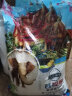 品冠膳食 泰国香米泰粮谷稻米泰国米茉莉香米新米真空包装 芭提雅泰国香米5kg（10斤装） 实拍图