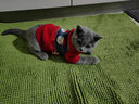 华元宠具（hoopet）猫咪衣服春节过年毛衣秋冬保暖冬季猫衣服防掉毛宠物新年国潮棉衣 【新年】老头毛衣（偏大） XS：胸围30cm【建议1-3斤】 实拍图