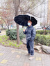 伞小满全自动雨伞太阳伞遮阳防晒伞防紫外线晴雨两用女士男定制印刷logo 【双玻纤抗暴伞骨】甜米白 实拍图