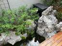 欧亚瑟室外鱼池水循环系统鱼池过滤器锦鲤鱼池过滤桶箱锦鲤池塘净化装置 18000直流式套装/9立方米内鱼池 实拍图