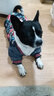 NINKIN狗狗衣服冬天法斗泰迪雪纳瑞比熊小型犬斗牛犬巴哥犬贵宾衣服冬装 酷炫牛仔花款 XXL-建议27-35斤穿 实拍图