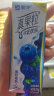 蒙牛真果粒蓝莓味牛奶饮品250g×12盒 蓝莓果粒 饮料 晒单实拍图