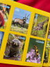 美国国家地理幼儿动物小百科（赠动物收藏卡、大拉页、光栅卡 套装全5册） 实拍图