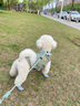 宠星记 宠物衣服 小型犬狗狗 小猫咪 冬季居家防飘毛 泰迪比熊雪纳瑞 绿色大号XL 胸围41-45cm 实拍图