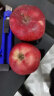 壹农壹果 甘肃天水花牛新鲜苹果 粉面苹果  时令生鲜新鲜苹果水果整箱大果 精选5斤装 70-75mm 实拍图