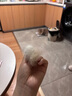 迪莱特船记（DELIGHT）宠物排梳猫狗梳子布偶猫开结梳泰迪比熊狗狗梳毛神器拉毛梳 DL103-2【铝柄梳19cm-粉色】 实拍图