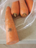 聚怀斋 新鲜红萝卜2.5kg 水果胡萝卜 脆甜生萝卜 水洗新鲜萝卜 新鲜蔬菜 健康轻食 实拍图