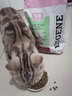 优趣天然猫粮成猫幼猫专用鱼肉海洋鱼蓝猫室内全价猫粮天然粮 发2包优趣醇香牛肉1.5kg 实拍图
