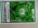 寿禾 生菜种子四季播紫色夏秋蔬菜莱种紫叶家庭种寿光菜籽叶菜种籽 （家庭种）结球生菜种子5g 实拍图