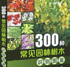 300种常见园林树木识别图鉴 实拍图