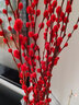 开时果 银柳鲜枝干花年宵花卉 红色真花福桶银柳水培植物室内装饰鲜花 【60cm】银柳40枝（喜庆红） 实拍图