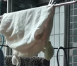十月结晶婴儿帽子囟门帽春夏四季新生儿初生胎帽 海底乐园粉【春夏3-6个月】 实拍图