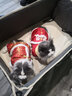 华元宠具（hoopet）猫咪衣服过年喜庆唐装猫猫冬季保暖衣小猫衣服新年拜年舞狮服装 恭喜发财舞狮唐装 L：根据图片尺寸选择 实拍图