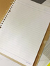 【免费刻字】KOKUYO日本国誉活页本不咯手学生笔记本外壳可拆卸活页夹手账本记事本子  一米新纯B5绿色 实拍图
