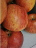 GREENHOW新西兰苹果新鲜水果进口加力果嘎啦果小加丽果 6颗装 实拍图