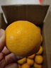探味君 广西武鸣沃柑 新鲜水果应当季时令橘子桔子整箱 生鲜 净重8.5-9斤 单果70-75mm 实拍图