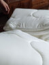 博洋家纺三防面料大豆床垫防滑保护垫床褥软垫子厚约3cm180*200cm 实拍图