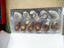 吉利莲比利时进口贝壳形巧克力礼品盒250g零食女生日礼物22粒 实拍图