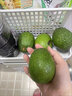 香果颜牛油果水果   新鲜应当季水果  送礼精选   精选大果10个装单果约190-220g 实拍图