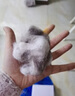 FURminator富美内特猫梳子布偶长毛猫梳毛刷猫用宠物梳子去毛神器梳毛神器 短毛中型犬/规格同短毛大猫 实拍图