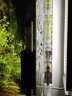 森森（SUNSUN）鱼缸水族箱超白玻璃水草缸造景桌面缸 超白420标配(含灯 水泵 超白鱼缸) 实拍图