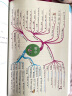 思维导图超强串记英语语法大全集 实拍图