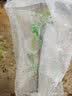 yuanyiba水果套袋防鸟防虫专用网袋葡萄无花果枇杷芒果草莓桃子保护袋子 30x40cm/30个/菠萝哈密瓜木瓜 实拍图