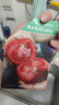 寿禾 番茄种子沙瓤西红柿盆栽蔬菜种籽 潍丰寿禾粉冠老番茄种子40粒 实拍图