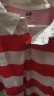 H&M童装男婴2024春季新品休闲时尚潮流棉质汗布Polo衫1226314 白色/红色条纹 100/56 晒单实拍图