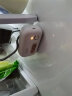 绿之源 冰箱除味器（白色）家用冰箱杀菌除味器冰箱除臭剂除菌除味盒剂 实拍图