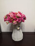 绿秀仿真花盆栽假花摆件小盆景菊花室内客厅摆桌塑料花绢花束欧式装饰 球牡组合粉2s+瓶 含花瓶 实拍图