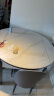 晨巢 岩板餐桌 实木餐桌椅组合现代简约可伸缩折叠吃饭桌子餐厅家具 12MM岩板餐桌-101皮椅款 1.2米一桌四椅 实拍图