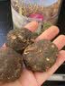 雄在【原种大玛咖高海拔】高原干果玛卡玛咖粉马卡切片泡酒泡茶补防秘鲁黑玛卡种植环境非进口官方 精选大果玛咖250克【整果】 实拍图