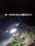 WarsunWD06-1感应头灯超长续航LED夜钓强光充电超亮远射防水工作钓鱼 实拍图